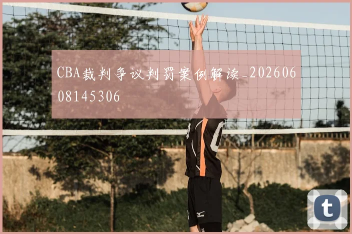CBA裁判争议判罚案例解读_20260608145306
